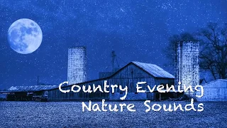 Night in the Country Soundscape | Relaxation Sounds | 10 hours