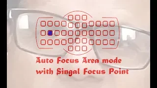 Auto Focus Area mode with Single Focus Mode | How Can Do Best focus  Setting |  Nikon | HINDI