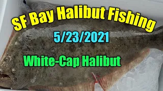 San Francisco Bay Halibut fishing: Live baits vs Trolling