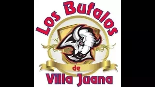 Los Bufalos de Villa Juana