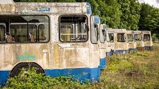 Found an Abandoned Bus Graveyard: 100s of Vehicles Left