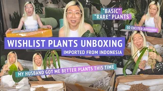 Wishlist plants unboxing! 🥳 Easy aroids from an international Etsy seller