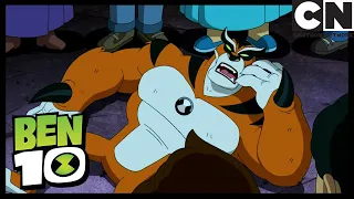 Ben 10 Español | El Chupacabra Ataca | El Chupacabro | Cartoon Network