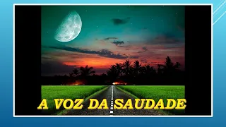 A VOZ DA SAUDADE ***** DELLEY & DORIVAN - Compositores - Fábio Silveira / Tião Granfino