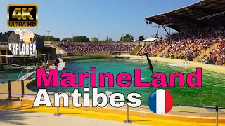 🇫🇷MarineLand Antibes,FRANCE》  FULL Dolphin Show 2020 【4K】