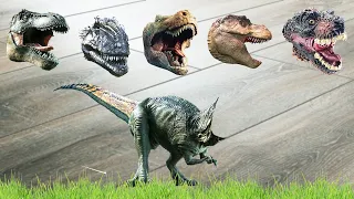 CUTE ANIMALS Dinosaurs, Tyrannosaurus Rex, Choose right  귀여운 동물 공룡, 티라노사우르스 렉스, 오른쪽 선택