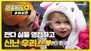 최애 판다 영접한 우리스♡_♡ (#힐링) l #어서와리플레이 l #어서와한국은처음이지 l EP.134