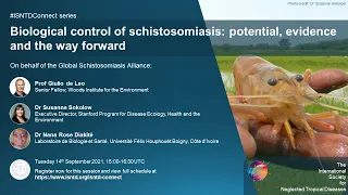 Biological control of schistosomiasis: potential, evidence and the way forward