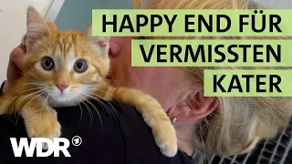 Volles Katzen-Haus und eine verliebte Tierheimleiterin! | S02/E01 | Hallo Tierheim | WDR