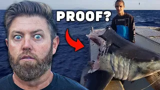 Did Megalodon Bite This Shark In Half? (Wildlife Expert Reacts)