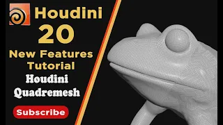 Houdini 20 Quadremesh / Houdini 20 Remesh / Houdini 20 New Features