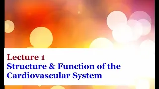 Lecture 1 - Introduction to the Cardiovascular System