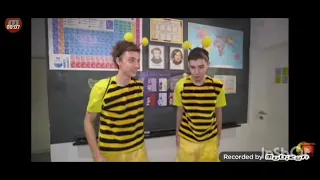 а мы 🐝