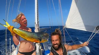 Catching Giant Mahi Mahi from Our Sailboat - Offshore Passage to Colombia - Episode 44