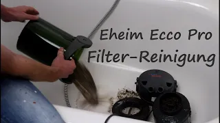 Außenfilter-Reinigung bei Wasserschildkröten (Eheim Ecco Pro)