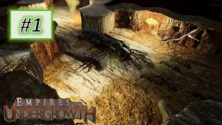 Empires of the Undergrowth #1: New Home (UPDATED)