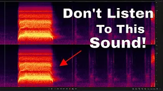 The Scariest Sound In The World