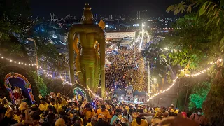 Thaipusam 2023 @Batu Caves (2K HD)#thaipusam2023 #batucaves #nikond750 #photostage