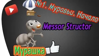 №1. Муравьи. Начало(Messor Structor)