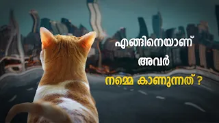 എങ്ങിനെയാണ് മറ്റു ജീവികൾ മനുഷ്യരുടെ 'ലോകത്തെ' കാണുന്നത് ?