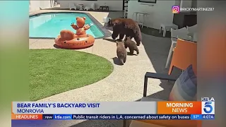 Bear family makes backyard visit to Monrovia home: Video