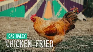 Cas Haley - Chicken Fried (Reggae Cover) [Official Audio]