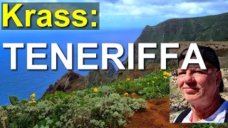 Crazy landscape: Tenerife - horror lava, cloud forest, volcanoes and desert. Puerto de la Cruz Teide