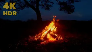 4k 🔥 Crackling Fireplace 🔥 _ 1hour Spring Campfire _ Cozy Campfire _ Crackling Nature Campfire _