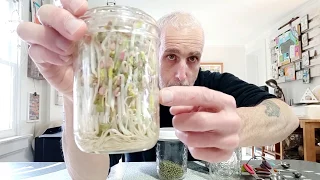 Easy Mung Bean Sprouts