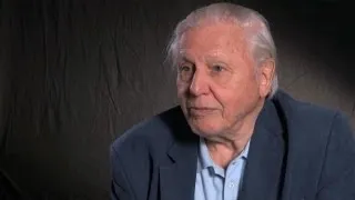 David Attenborough reacts to BBC's payoffs row