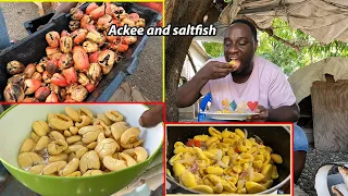 EATING JAMAICAN ACKEE AND SALTFISH for the First time in Jamaica 🇯🇲 !! Traditional Jamaican food