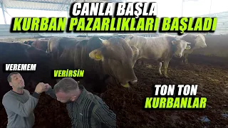 Ekinci Besi Çiftliğinin Harika Kurbanlıkları | Ankara