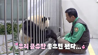 [#푸바오와할부지2] 행복한 여행이 되길 바라며…🙏 푸바오의 긴 여행을 위한 준비 과정🖤 / EP.2-1 #SBSstory