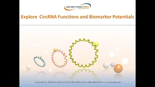 Explore  Circular RNA Functions and Biomarker Potentials