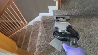 ASMR Carpet Cleaning