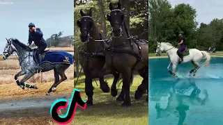 The Best HORSE TikTok Compilation 2022 #25