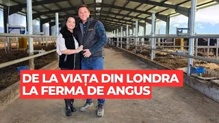 Andrei și Oana Nicola au lăsat în urmă Londra pentru ferma de Angus din Porumbacu de Jos