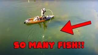 We Were CATCHING FISH EVERY Cast! TROUT Fishing, Catch, Camp, & COOK!! AERIAL BITES Captured!!!