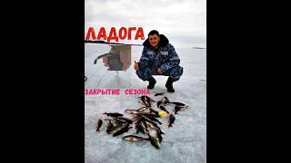 🐠 В ПОГОНЕ ЗА МИФИЧЕСКИМ ОКУНЕМ✅ | Зимняя рыбалка на Ладоге-март 2019 г.