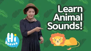 Learn Animal Sounds | Hi Heaven Classroom | Jennifer Jeon