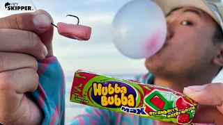 I Can't Believe BUBBLE GUM is catching SO MANY FISH! (Beach Fishing w/ GUM as Bait)