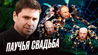 ❗️ Они друг друга СЬЕДЯТ! Пригожин, Лукашенко и Путин - прогноз от Подоляка