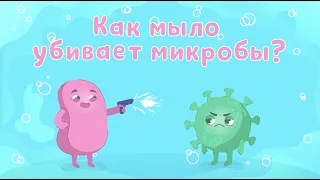 Как мыло убивает микробы?