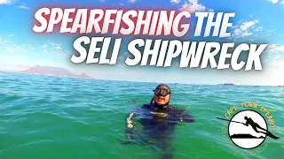 Spearfishing the Seli Shipwreck!