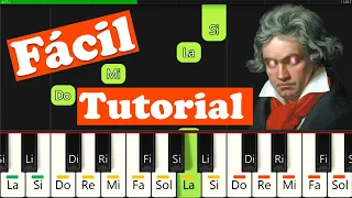 PARA ELISA en Piano 🎹 FACIL | Tutorial con Notas | Cómo Tocar Fur Elise en Teclado ( Beethoven )