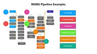 Epigenetics 2 - DNA methylation and Bisulfite Sequencing