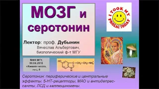 Курс Химия мозга. Лекция 8. "Мозг и серотонин". Проф. В.Дубынин