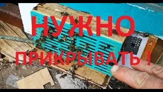 Результат превзошел ожидания.