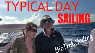 Ep.79.  Typical day when sailing; Antigua to St  Martin