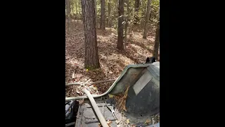 OLD MILITARY JEEP IN WOODS M151 FORD MUTT